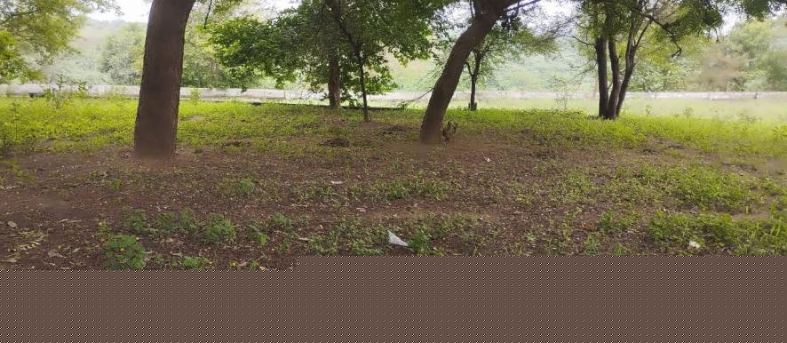 Punjab National Bank Auctions for Residential property in Kheda, Gujarat image 4 of 8 in Kapadvanj, Kheda | Punjab National Bank auction property