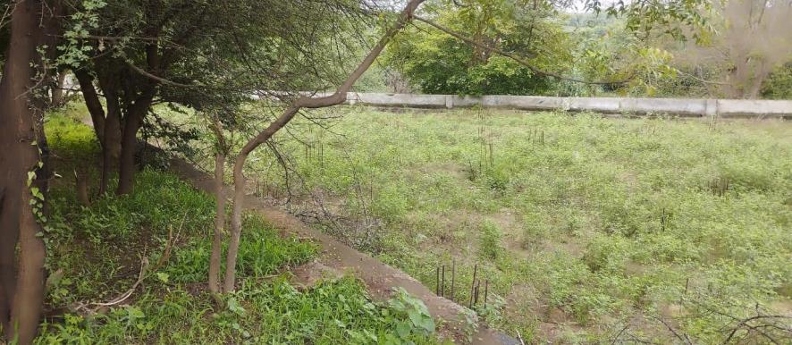 Punjab National Bank Auctions for Residential property in Kheda, Gujarat image 5 of 8 in Kapadvanj, Kheda | Punjab National Bank auction property