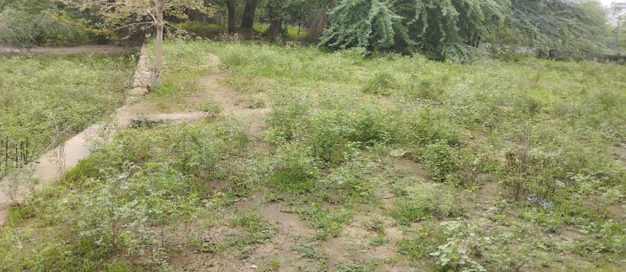 Punjab National Bank Auctions for Residential property in Kheda, Gujarat image 6 of 8 in Kapadvanj, Kheda | Punjab National Bank auction property