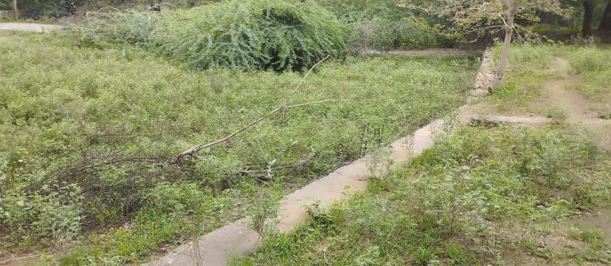 Punjab National Bank Auctions for Residential property in Kheda, Gujarat image 7 of 8 in Kapadvanj, Kheda | Punjab National Bank auction property