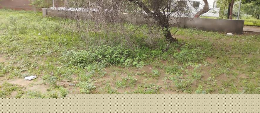 Punjab National Bank Auctions for Residential property in Kheda, Gujarat image 8 of 8 in Kapadvanj, Kheda | Punjab National Bank auction property