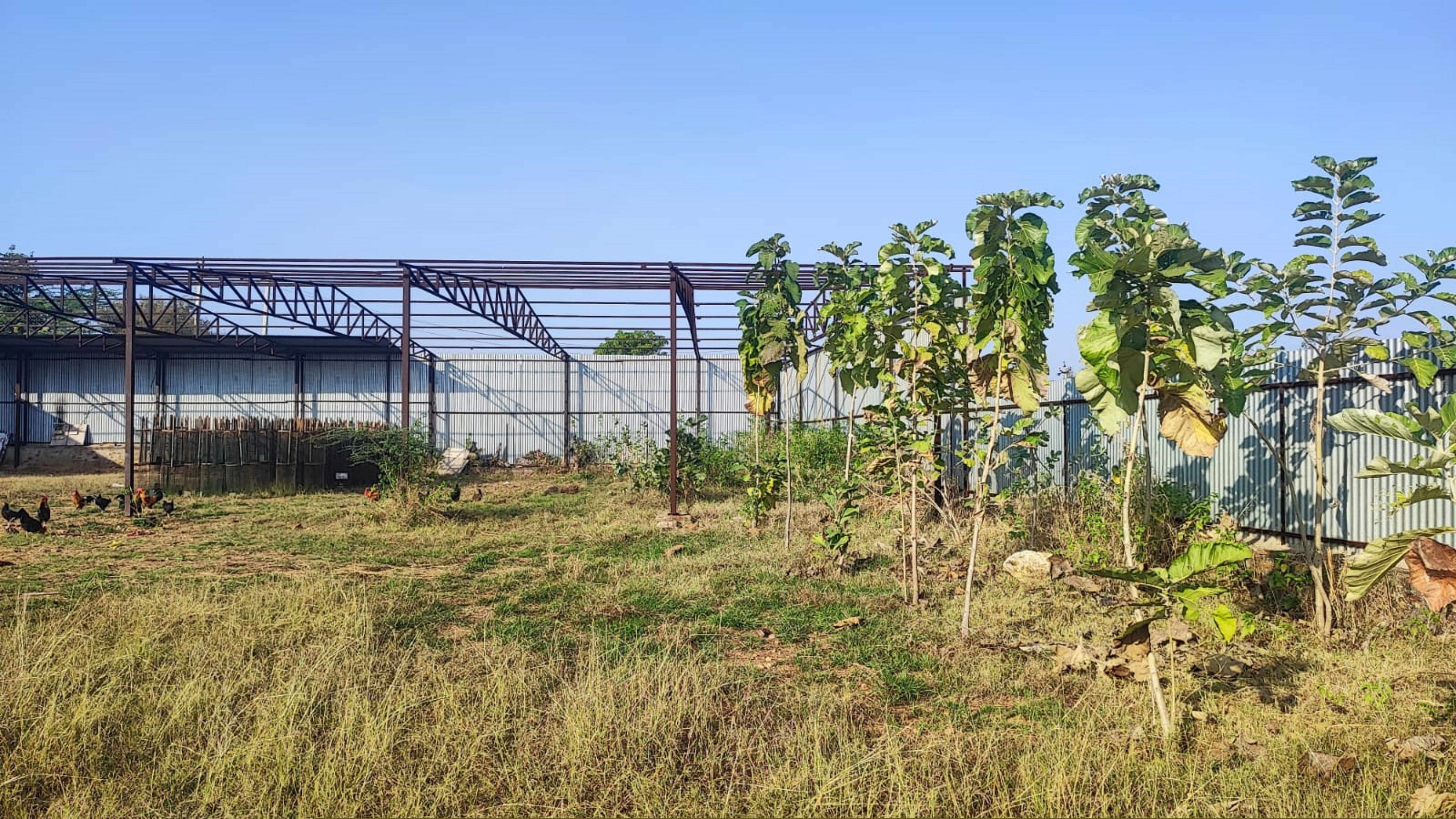 Punjab National Bank Auctions for Residential property in Dungarpur, Rajasthan image 2 of 8 in Dungarpur, Dungarpur | Punjab National Bank auction property