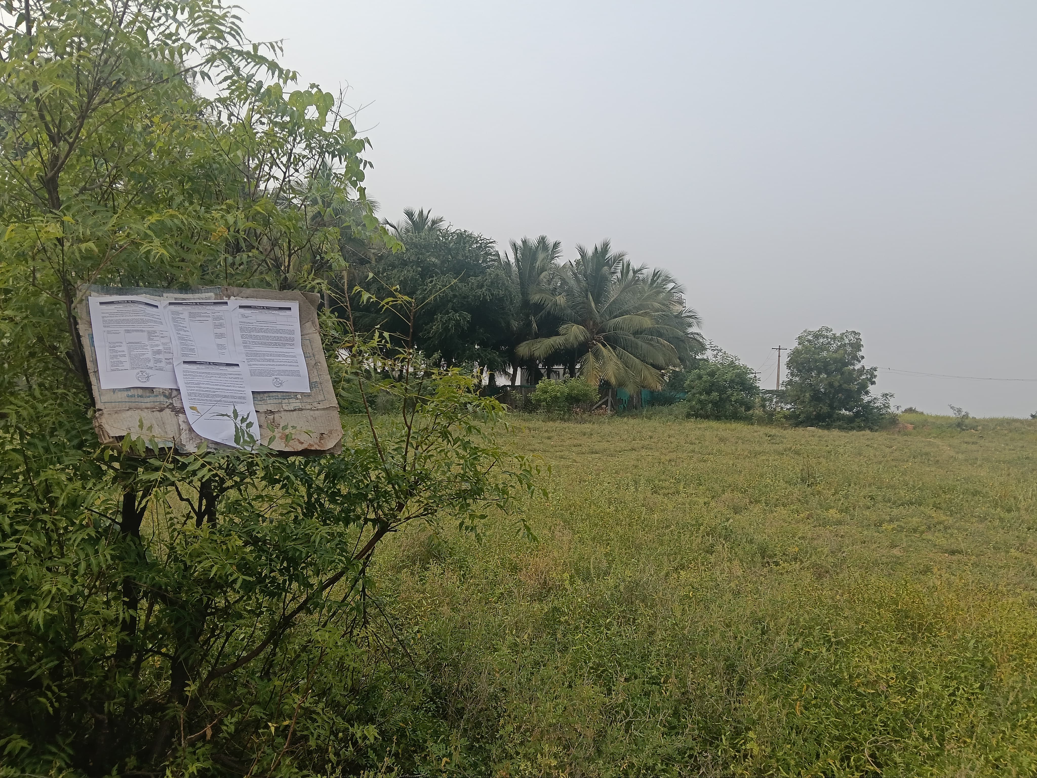 Punjab National Bank Auctions for Residential property in Tiruppur, Tamil Nadu image 3 of 9 in Tiruppur, Tiruppur | Punjab National Bank auction property