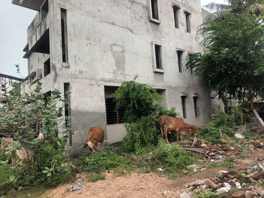 State Bank of India Auctions for Residential property in Dahod, Gujarat image 9 of 41 in Dahod, Dahod | State Bank of India auction property