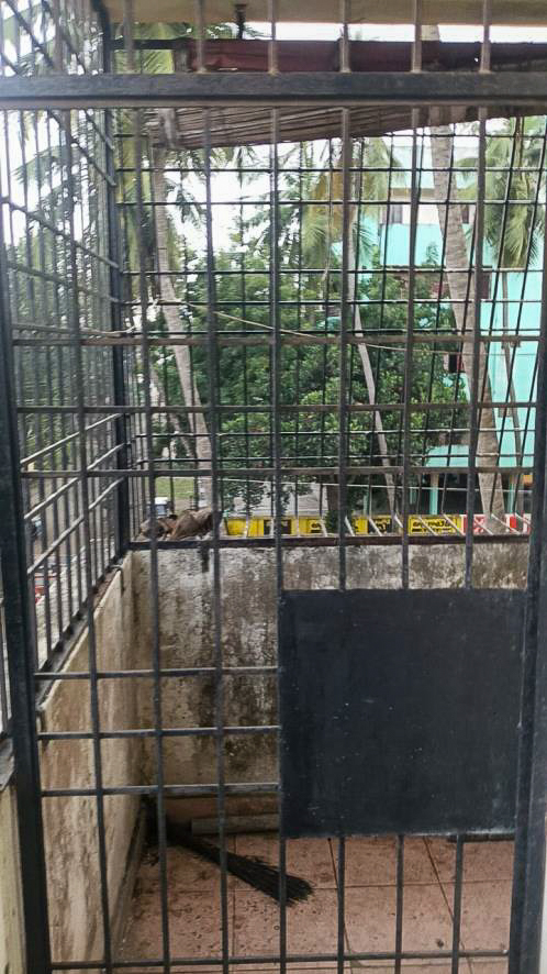 Union Bank of India Auctions for Residential property in Konaseema, Andhra Pradesh image 13 of 23 in Amalapuram, Konaseema | Union Bank of India auction property