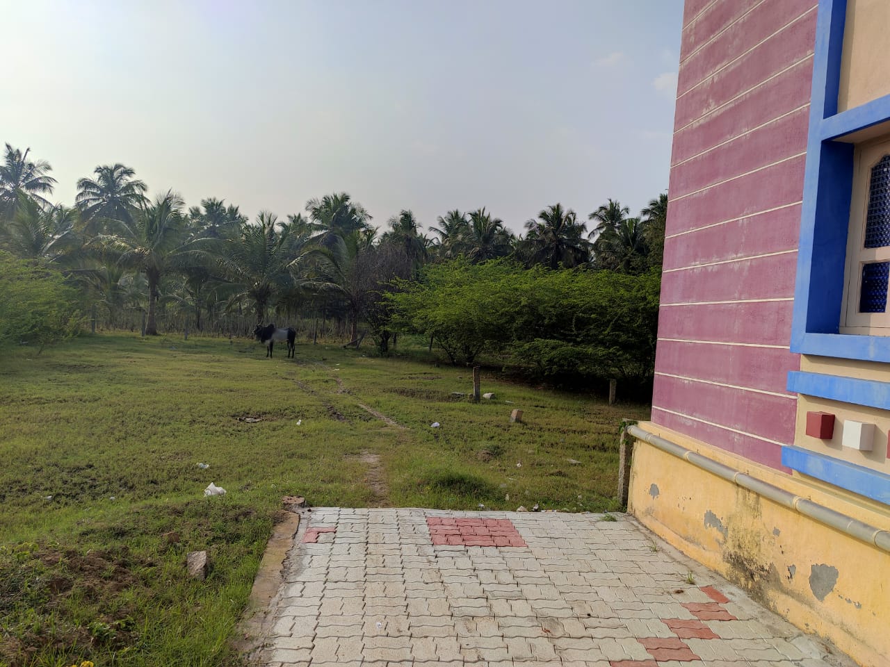 Indian Bank Auctions for Residential property in Dharmapuri, Tamil Nadu image 2 of 4 in Kariamangalam, Dharmapuri | Indian Bank auction property