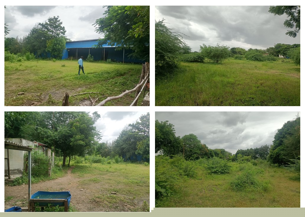 State Bank of India Auctions for Industrials property in Bhavnagar, Gujarat image 2 of 2 in Bhavnagar, Bhavnagar | State Bank of India auction property