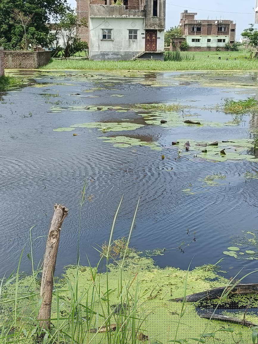 Bank of Baroda Auctions for Residential property in Patna, Bihar image 2 of 2 in Patna, Patna | Bank of Baroda auction property