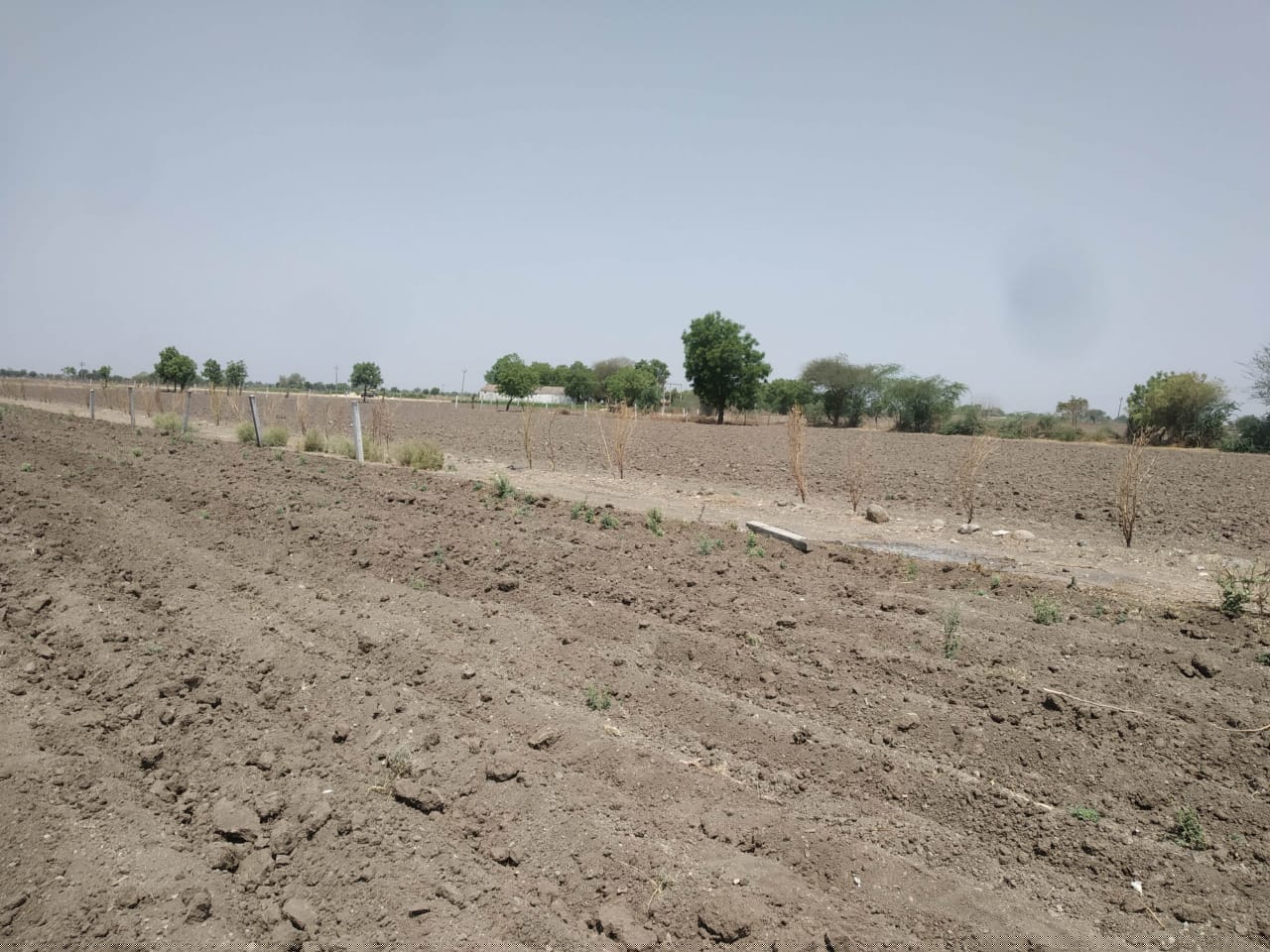 Bank of Baroda Auctions for Residential property in Amreli, Gujarat image 2 of 4 in Amreli, Amreli | Bank of Baroda auction property