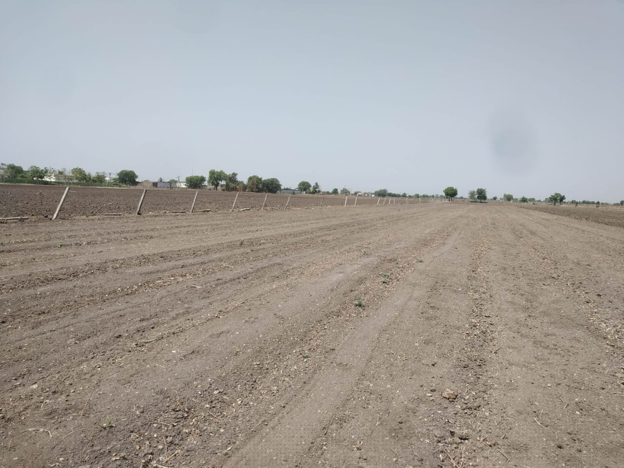 Bank of Baroda Auctions for Residential property in Amreli, Gujarat image 4 of 4 in Amreli, Amreli | Bank of Baroda auction property