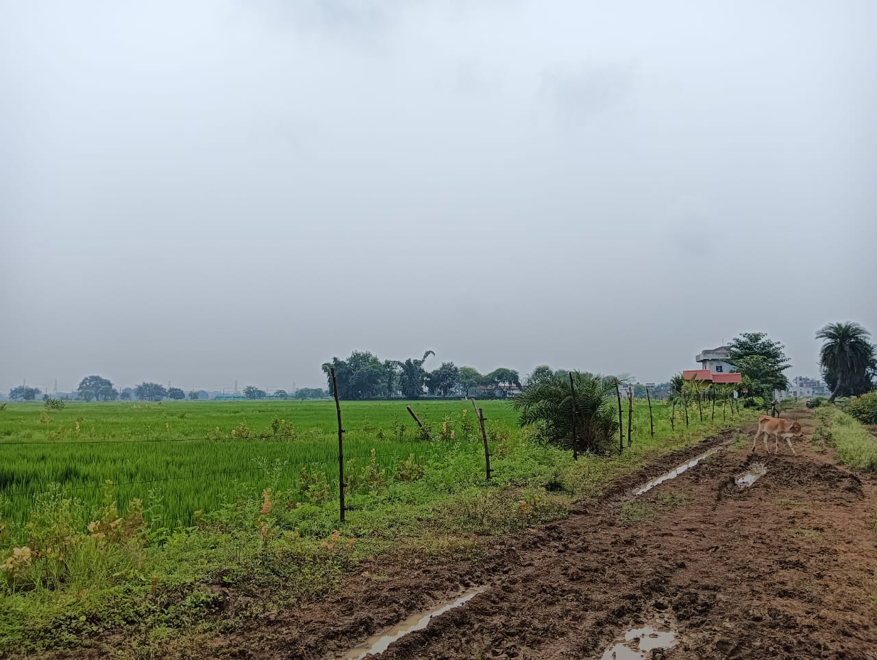 Punjab National Bank Auctions for Residential property in Durg, Chhattisgarh image 2 of 5 in Bhilai, Durg | Punjab National Bank auction property