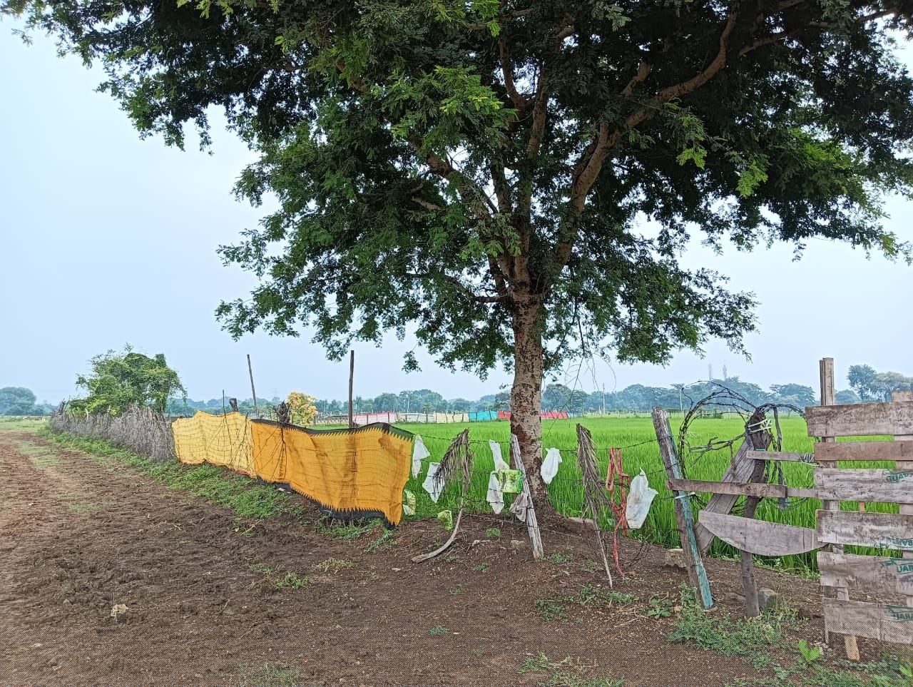 Punjab National Bank Auctions for Residential property in Durg, Chhattisgarh image 4 of 5 in Bhilai, Durg | Punjab National Bank auction property