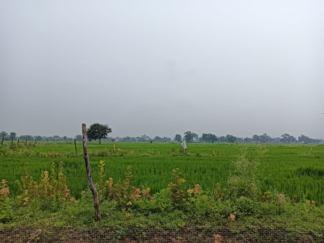 Punjab National Bank Auctions for Residential property in Durg, Chhattisgarh image 5 of 5 in Bhilai, Durg | Punjab National Bank auction property