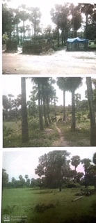 Bank of India Auctions for Others property in Eluru, Andhra Pradesh image 2 of 2 in Nuzvid, Eluru | Bank of India auction property