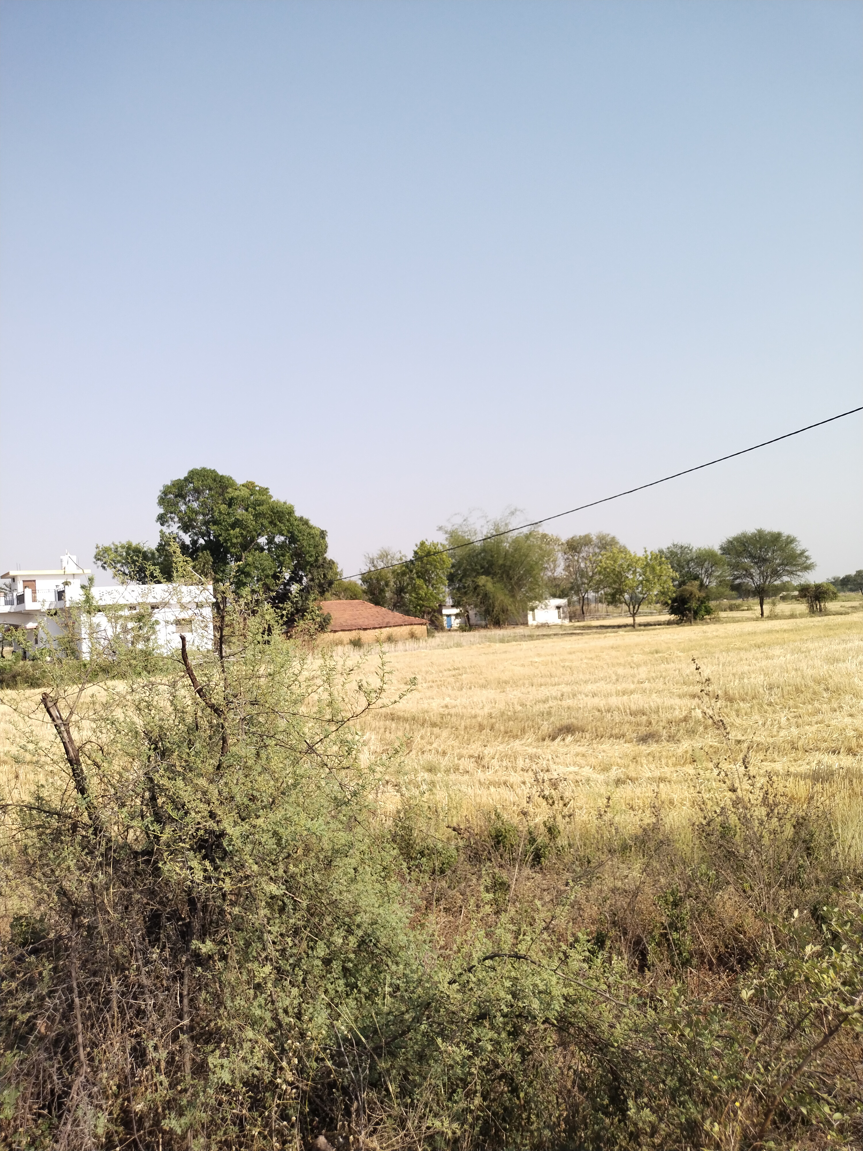 State Bank of India Auctions for Residential property in Rewa, Madhya Pradesh image 2 of 2 in Mangawan, Rewa | State Bank of India auction property