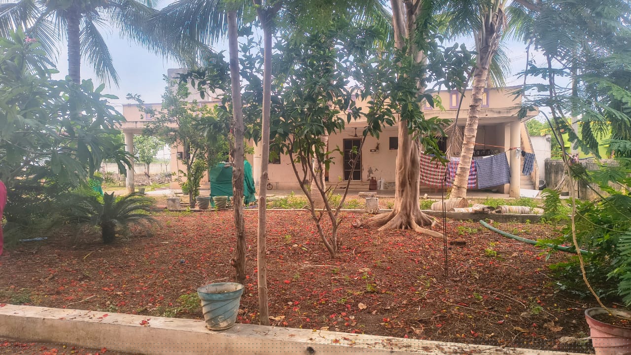 Bank of Baroda Auctions for Residential property in Virudhunagar, Tamil Nadu image 6 of 6 in Mallankinaru, Virudhunagar | Bank of Baroda auction property