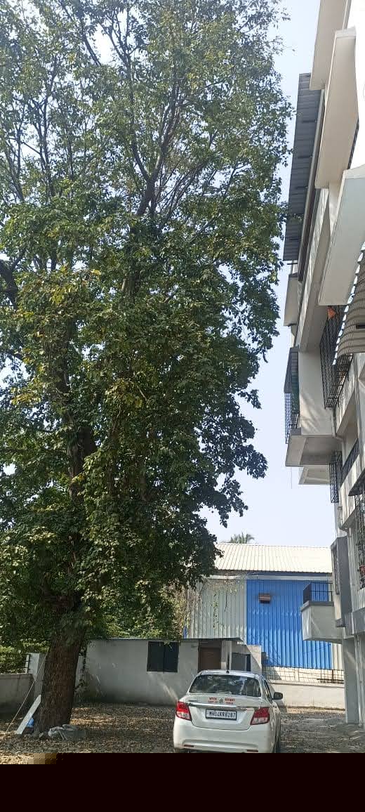 MAHARASHTRA GRAMIN BANK Auctions for Residential property in Pune, Maharashtra image 3 of 4 in Pune, Pune | MAHARASHTRA GRAMIN BANK auction property