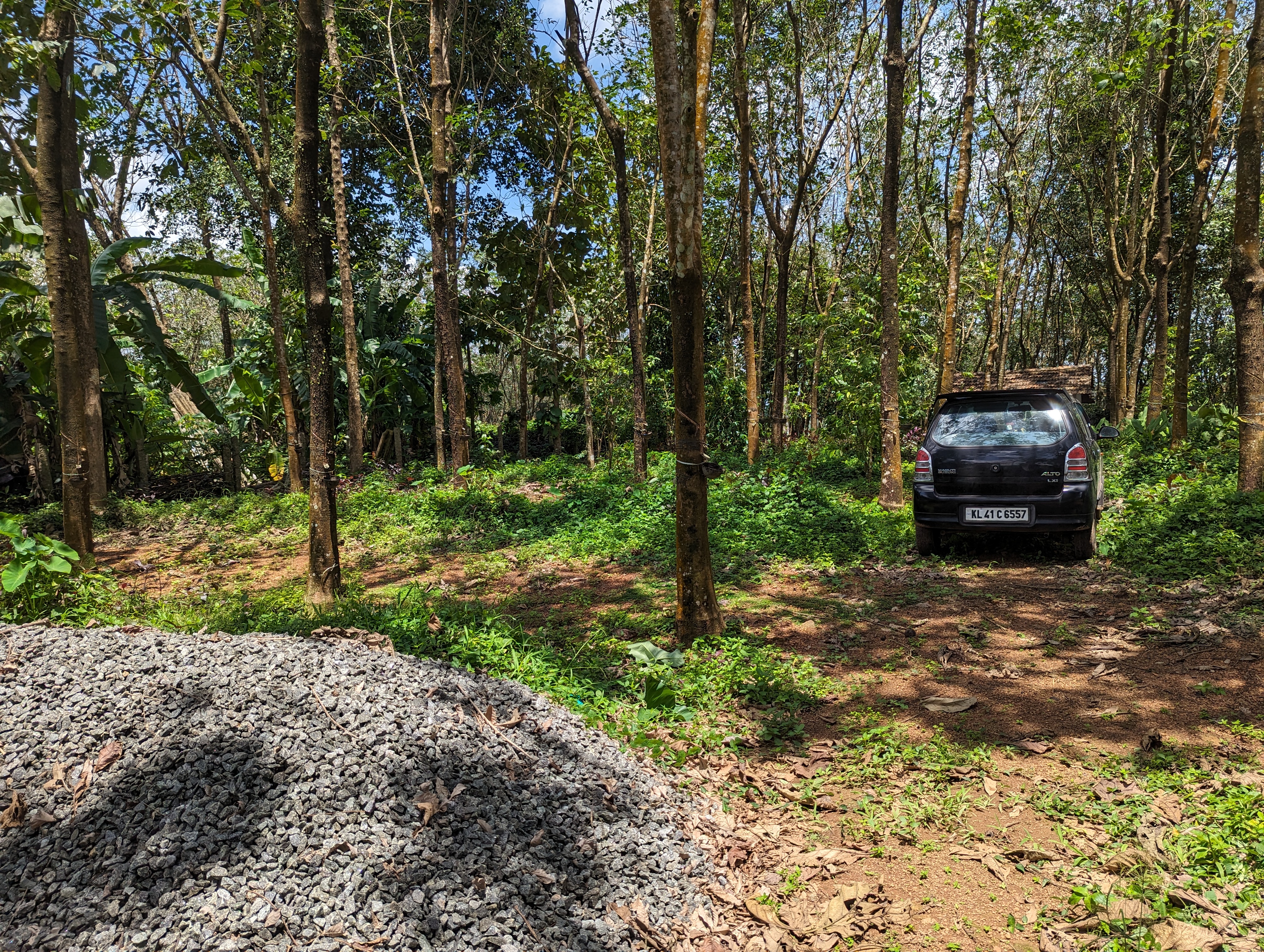 Bank of Baroda Auctions for Residential property in Alappuzha, Kerala image 4 of 4 in Chengannur, Alappuzha | Bank of Baroda auction property