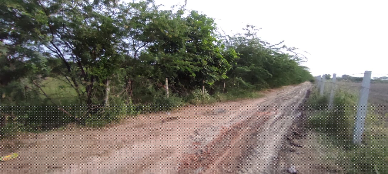 Punjab National Bank Auctions for Residential property in Pali, Rajasthan image 3 of 4 in Pali, Pali | Punjab National Bank auction property