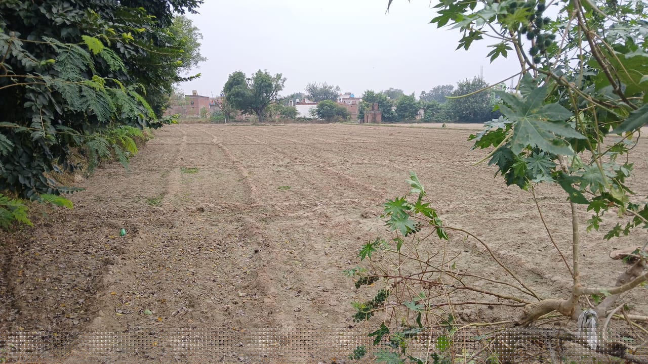 Punjab National Bank Auctions for Residential property in Mainpuri, Uttar Pradesh image 3 of 4 in Mainpuri, Mainpuri | Punjab National Bank auction property