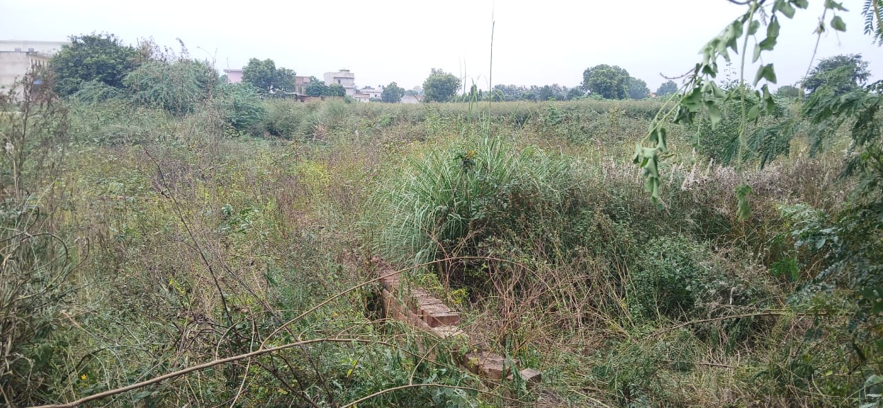 Punjab National Bank Auctions for Residential property in Mainpuri, Uttar Pradesh image 4 of 4 in Mainpuri, Mainpuri | Punjab National Bank auction property