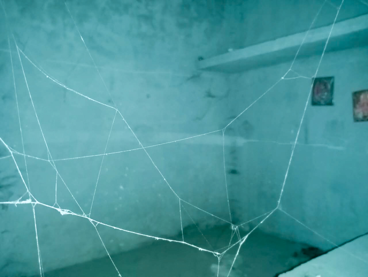 Indian Overseas Bank Auctions for Residential property in Jalandhar, Punjab image 22 of 25 in Jalandhar, Jalandhar | Indian Overseas Bank auction property