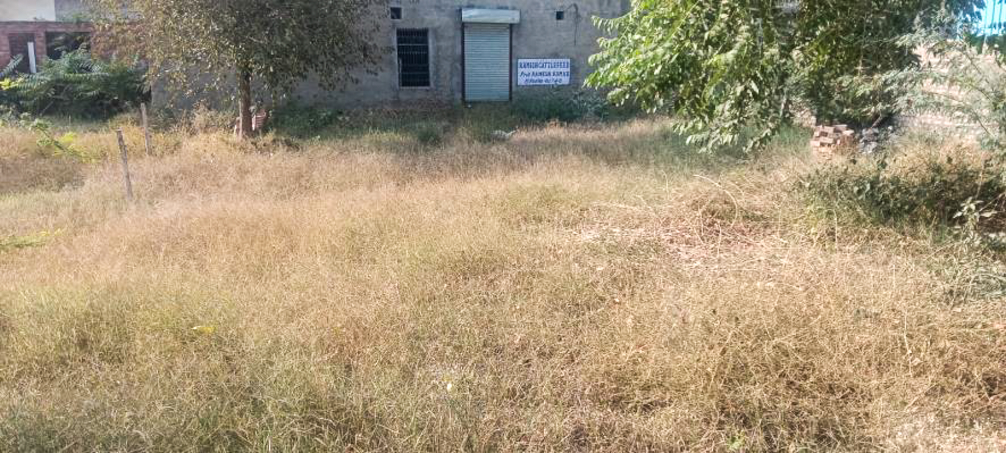 Bank of Maharashtra Auctions for Industrials property in Fatehabad, Haryana image 4 of 14 in Fatehabad, Fatehabad | Bank of Maharashtra auction property