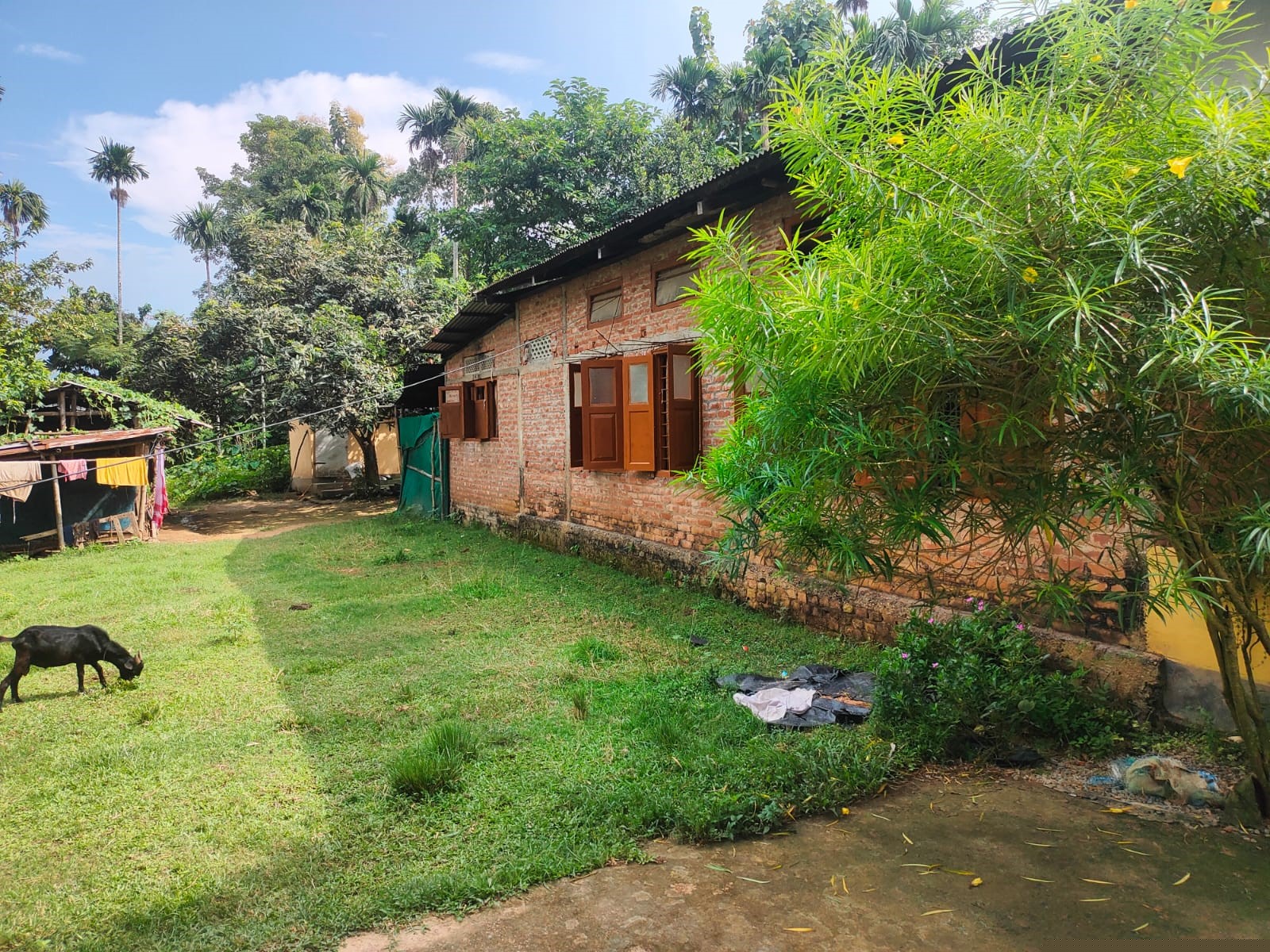 Punjab National Bank Auctions for Residential property in Nagaon, Assam image 5 of 7 in Nagaon, Nagaon | Punjab National Bank auction property