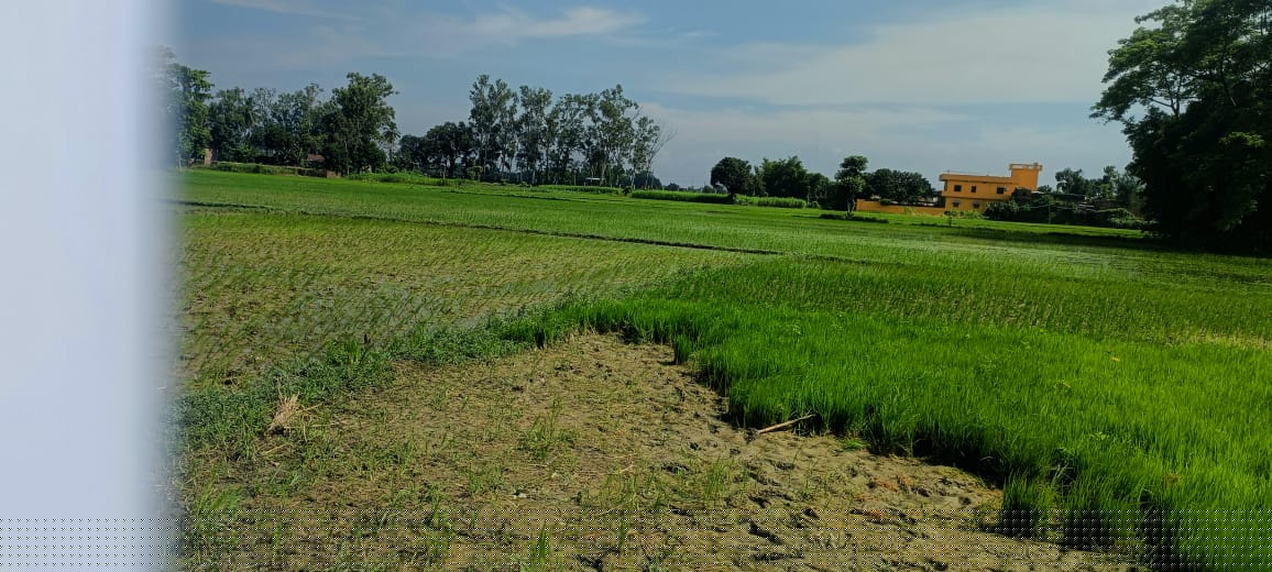 Central Bank of India Auctions for Commercial property in Araria, Bihar image 2 of 2 in Araria, Araria | Central Bank of India auction property