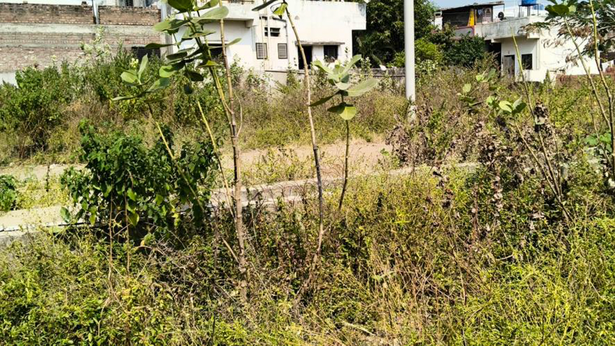 Punjab National Bank Auctions for Commercial property in Latur, Maharashtra image 7 of 8 in Arvi, Latur | Punjab National Bank auction property