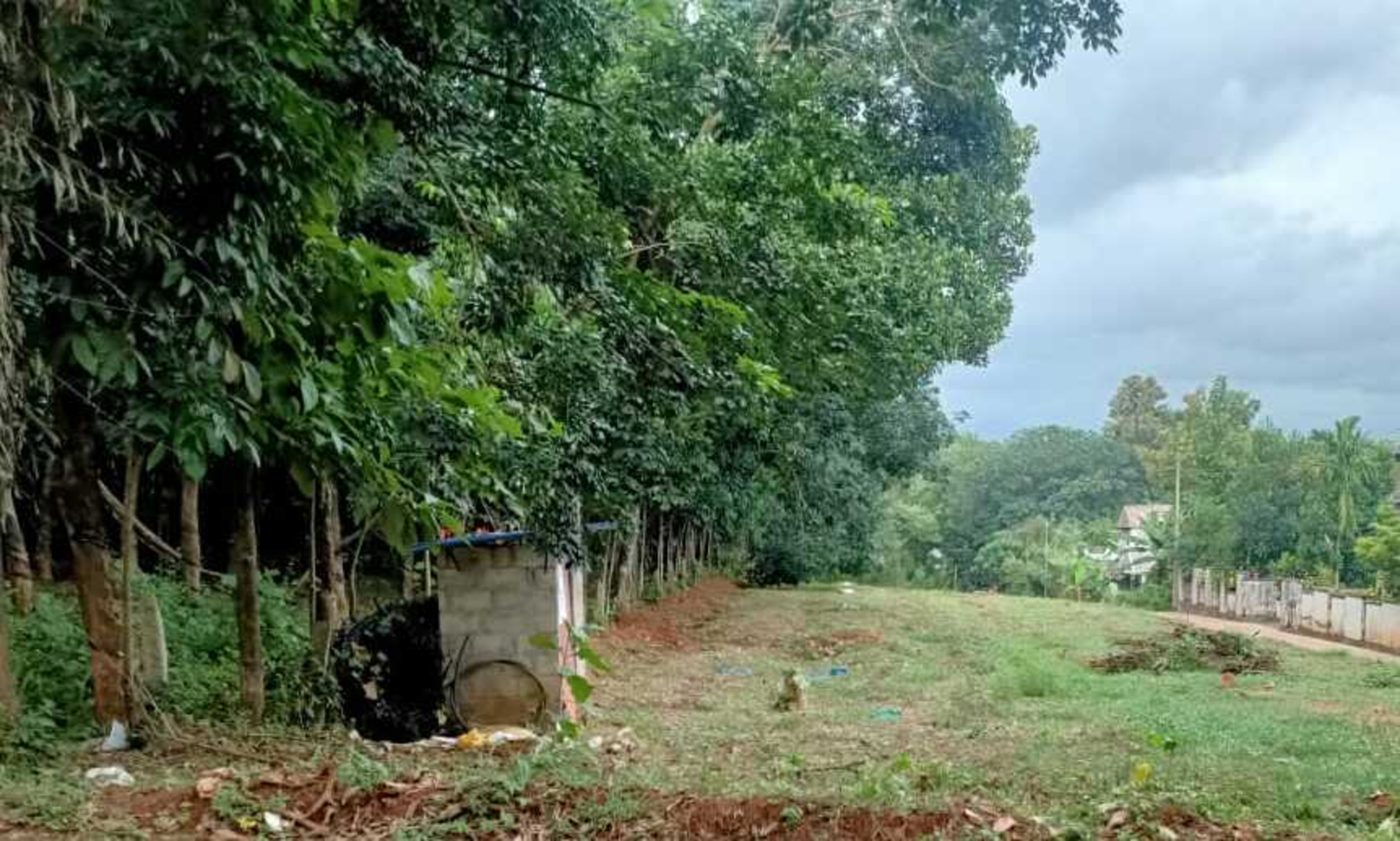 Punjab National Bank Auctions for Residential property in Malappuram, Kerala image 7 of 7 in Nilambur, Malappuram | Punjab National Bank auction property