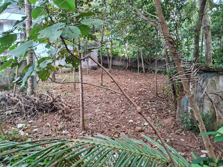 Bank of India Auctions for Residential property in Trivandrum, Kerala image 7 of 25 in Varkala, Trivandrum | Bank of India auction property