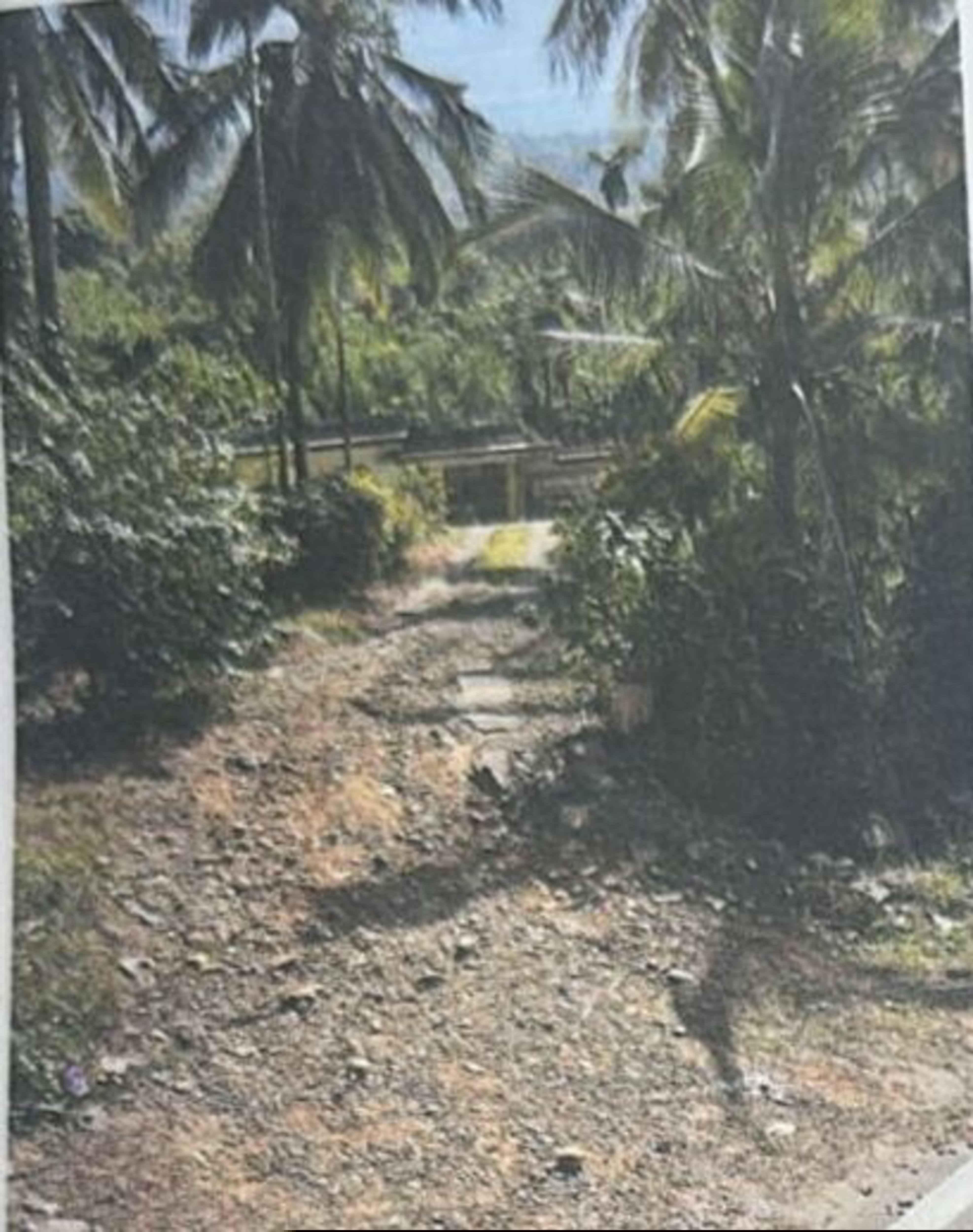 Punjab National Bank Auctions for Residential property in Kannur, Kerala image 3 of 7 in Iritty, Kannur | Punjab National Bank auction property