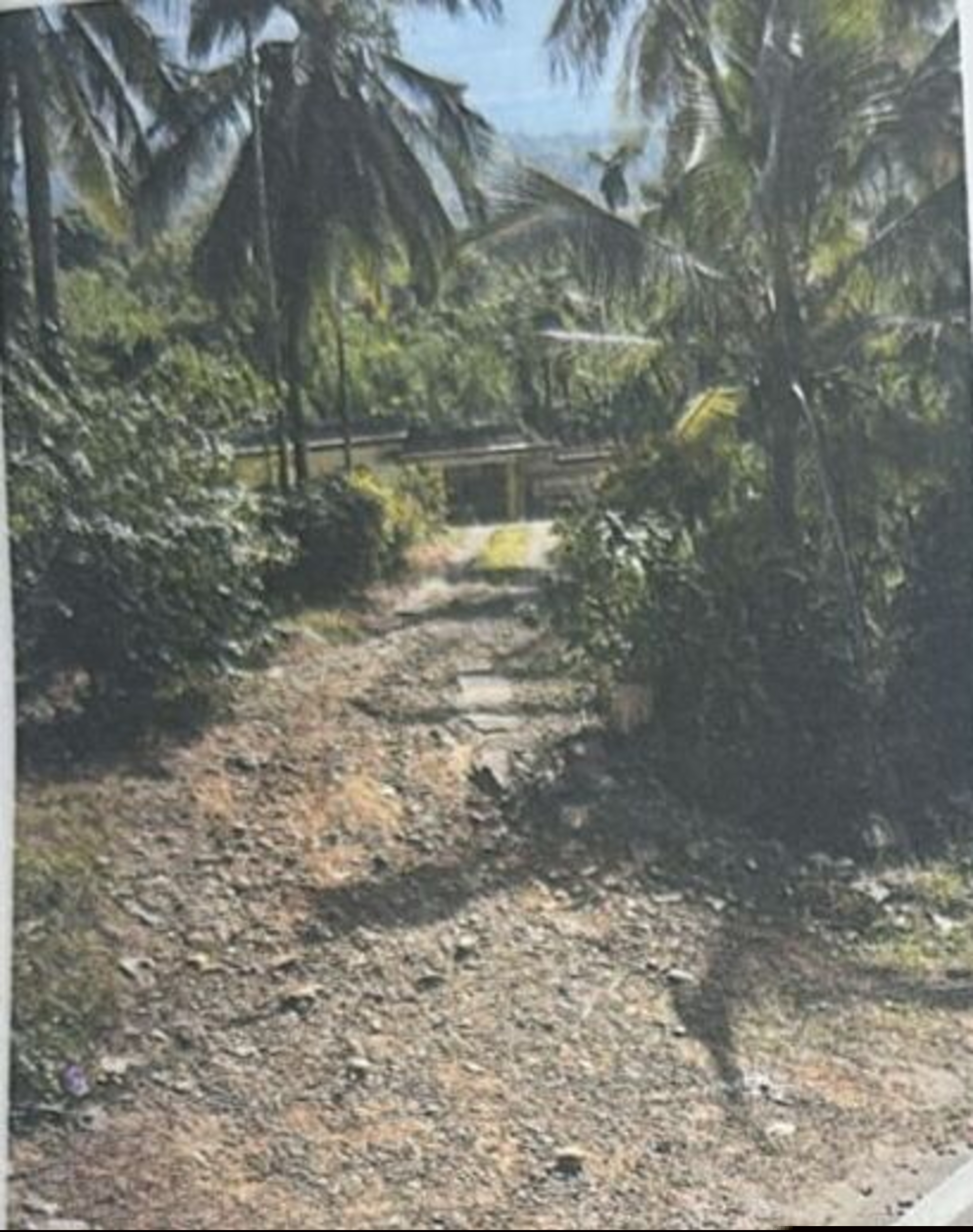 Punjab National Bank Auctions for Residential property in Kannur, Kerala image 6 of 7 in Iritty, Kannur | Punjab National Bank auction property