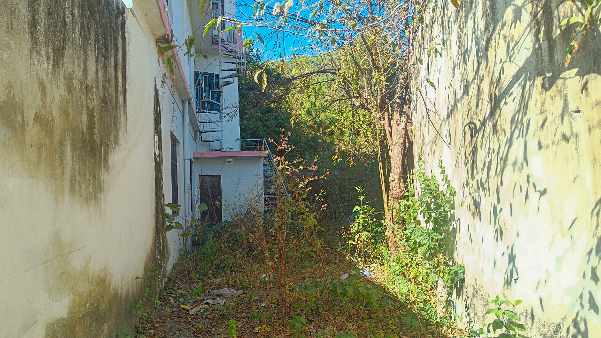 Canara Bank Auctions for Residential property in Almora, Uttarakhand image 10 of 21 in Almora, Almora | Canara Bank auction property