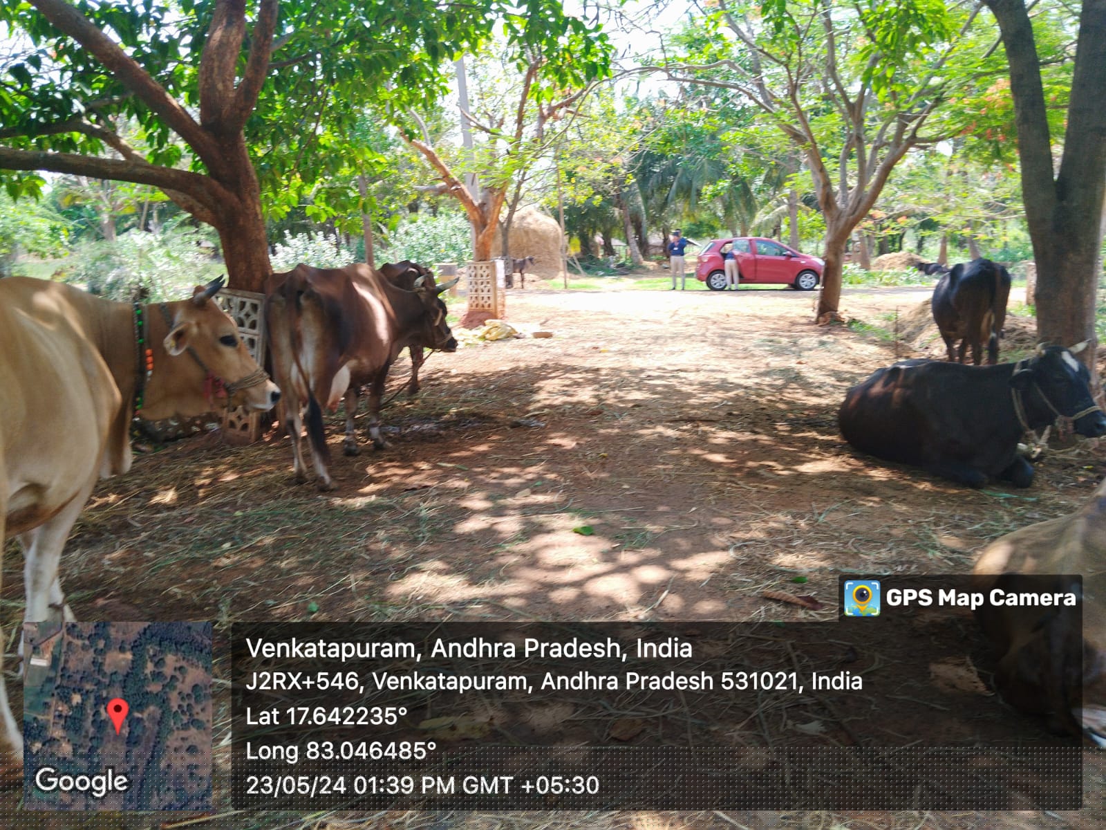 Bank of Baroda Auctions for Residential property in Anakapalli, Andhra Pradesh image 2 of 4 in NTPC Simhadri Township, Anakapalli | Bank of Baroda auction property