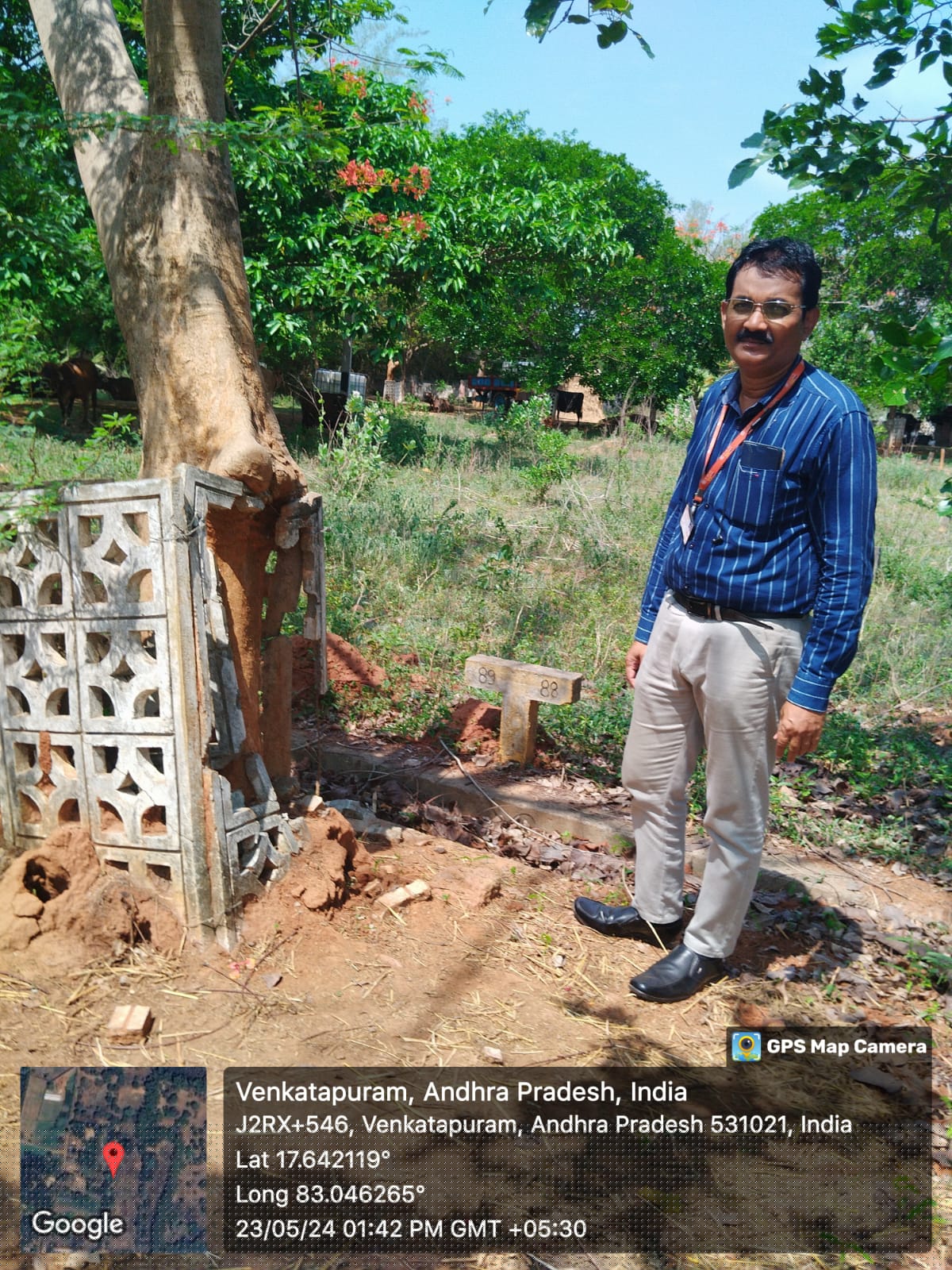 Bank of Baroda Auctions for Residential property in Anakapalli, Andhra Pradesh image 3 of 4 in NTPC Simhadri Township, Anakapalli | Bank of Baroda auction property