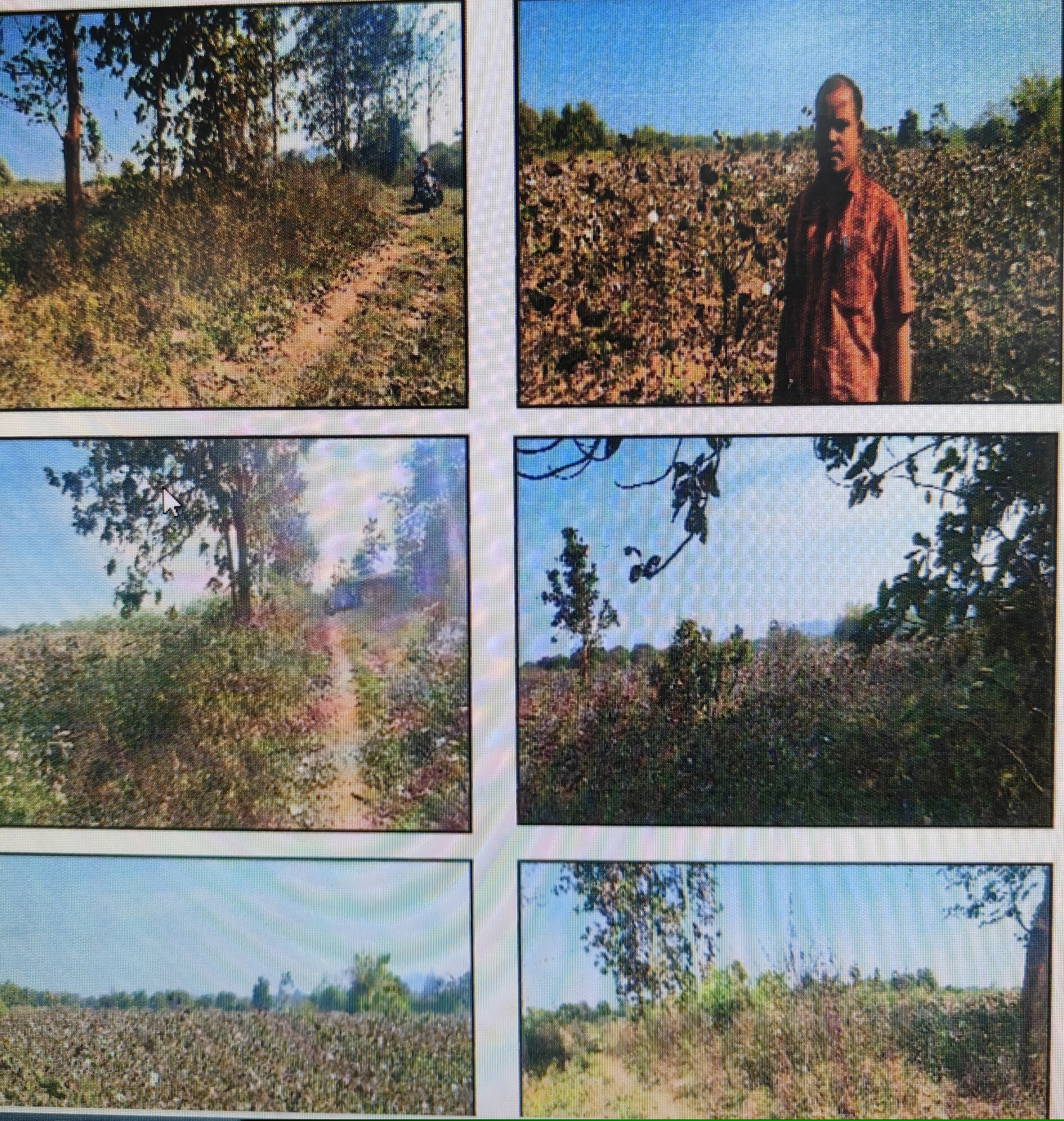 Indian Bank Auctions for Residential property in Bolangir, Odisha image 2 of 3 in Kantabanji, Bolangir | Indian Bank auction property