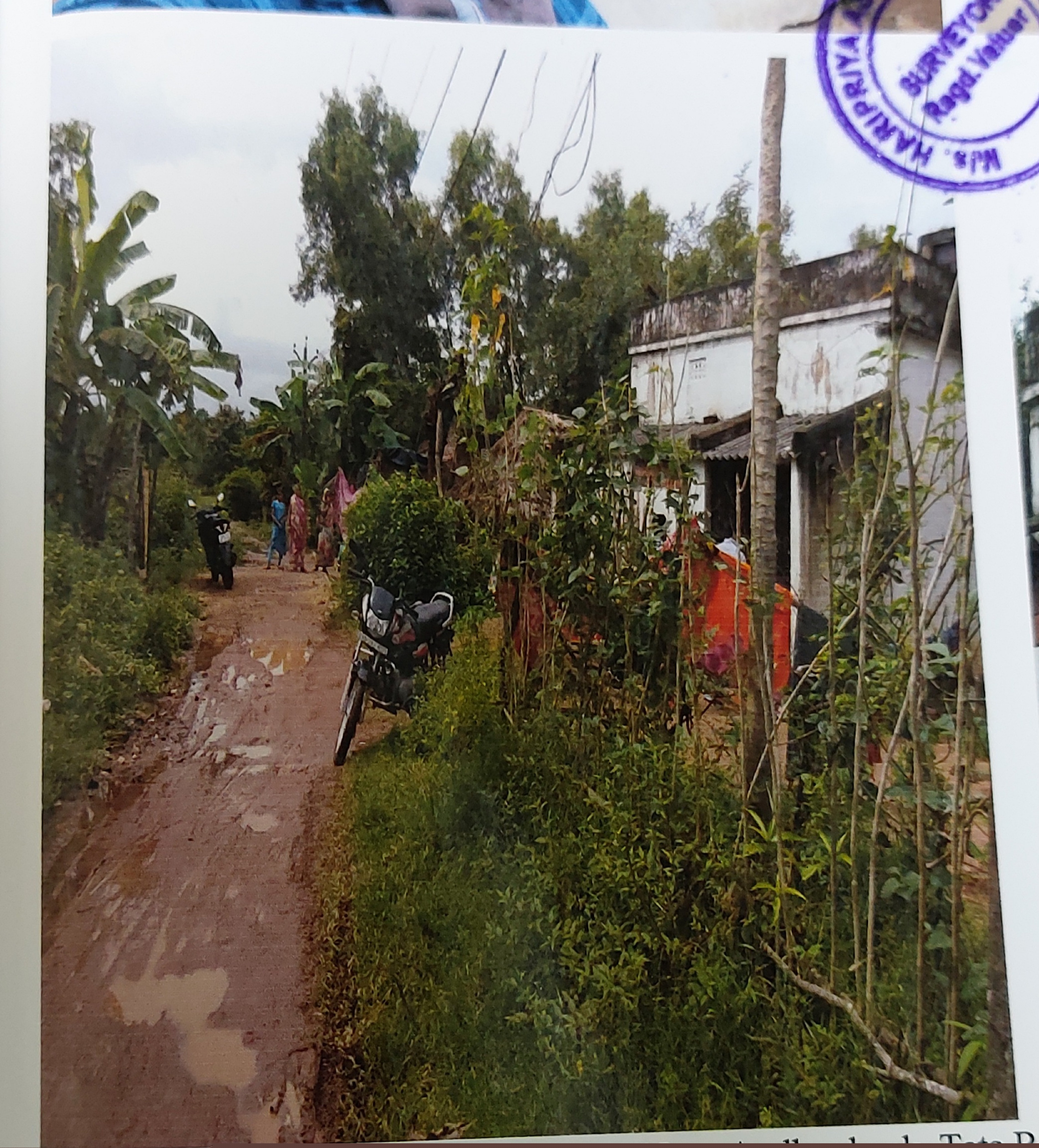 Indian Bank Auctions for Residential property in Nayagarh, Odisha image 2 of 4 in Nayagarh, Nayagarh | Indian Bank auction property