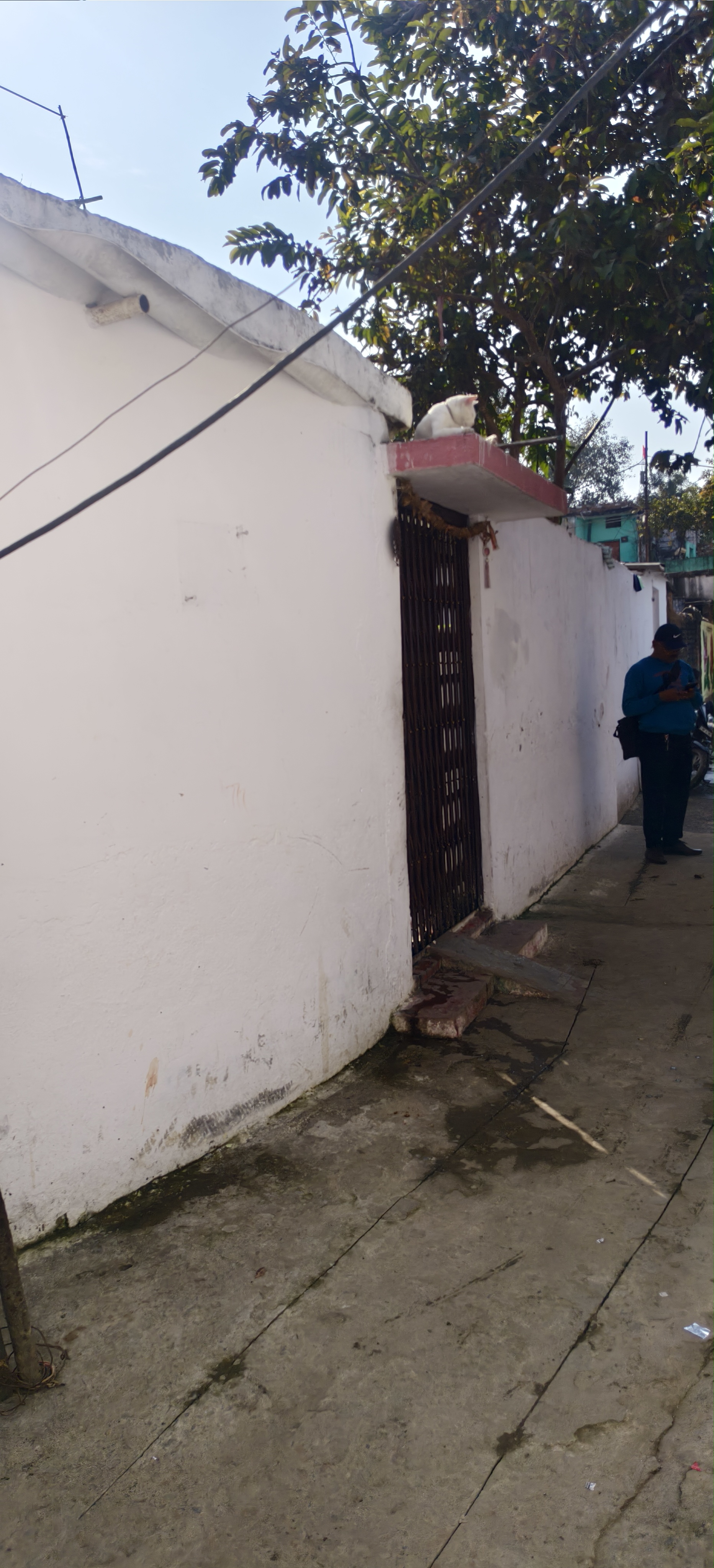 Punjab National Bank Auctions for Residential property in Rewa, Madhya Pradesh image 5 of 7 in Rewa, Rewa | Punjab National Bank auction property