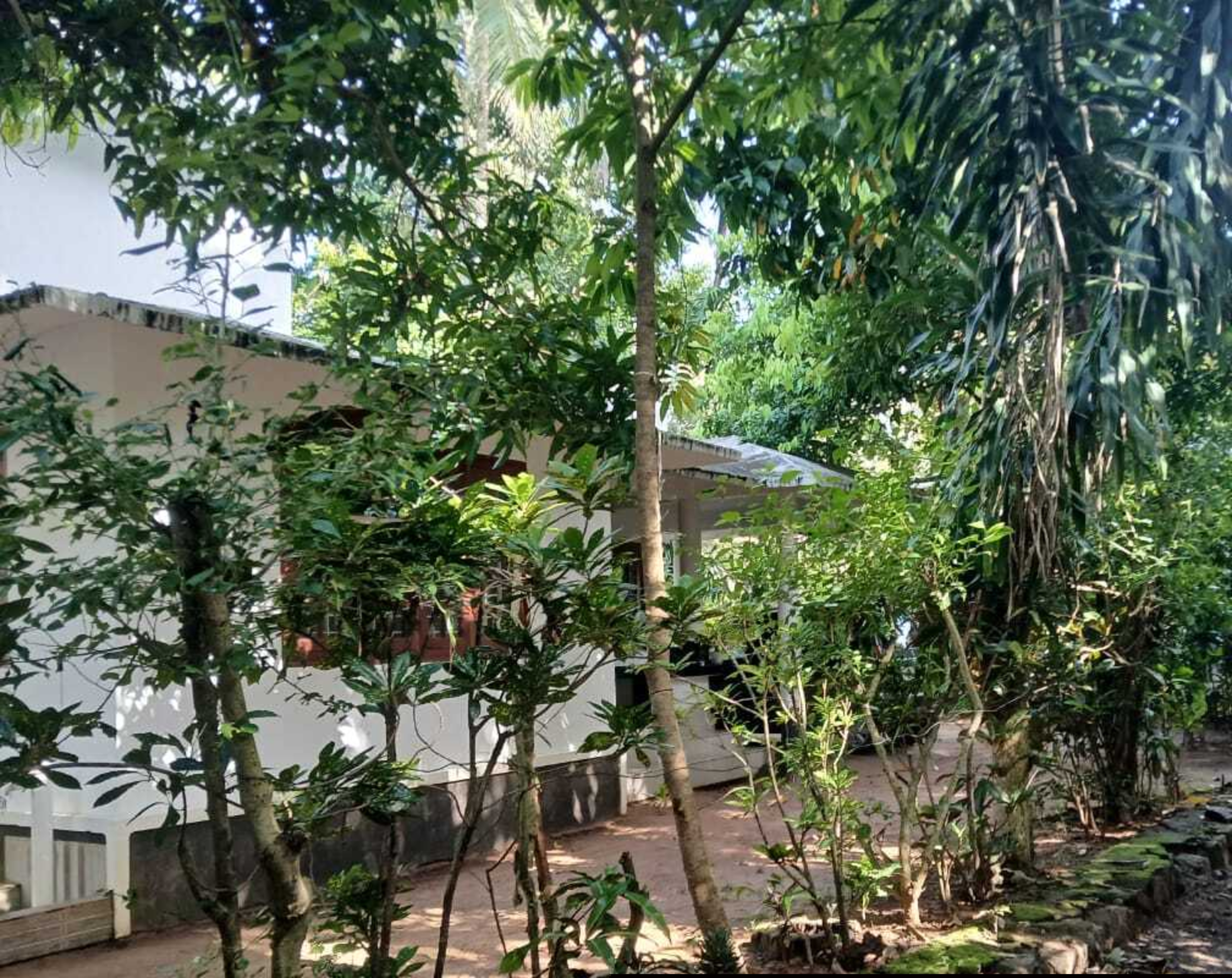 Punjab National Bank Auctions for Residential property in Malappuram, Kerala image 2 of 7 in Ariyallur, Malappuram | Punjab National Bank auction property