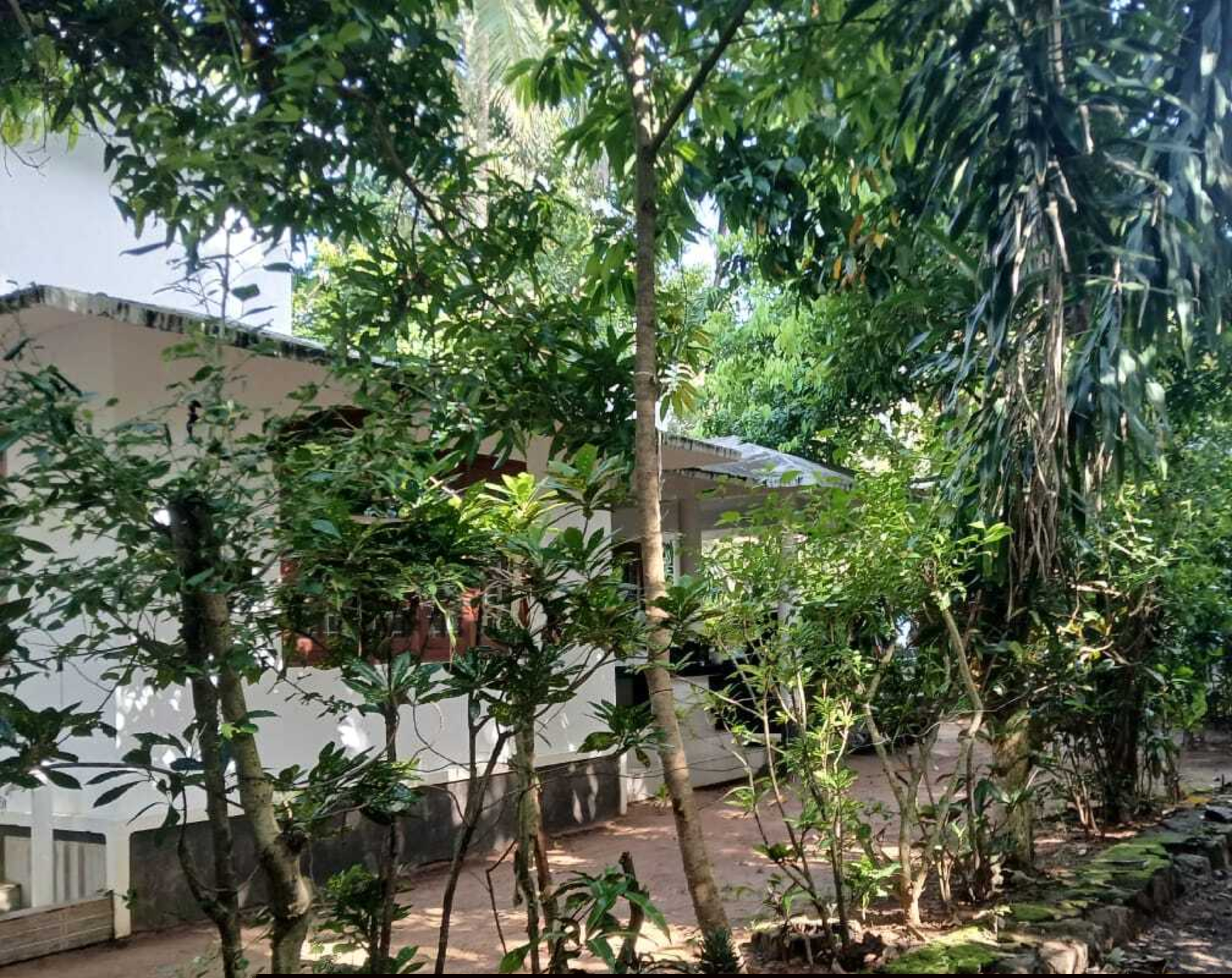 Punjab National Bank Auctions for Residential property in Malappuram, Kerala image 4 of 7 in Ariyallur, Malappuram | Punjab National Bank auction property