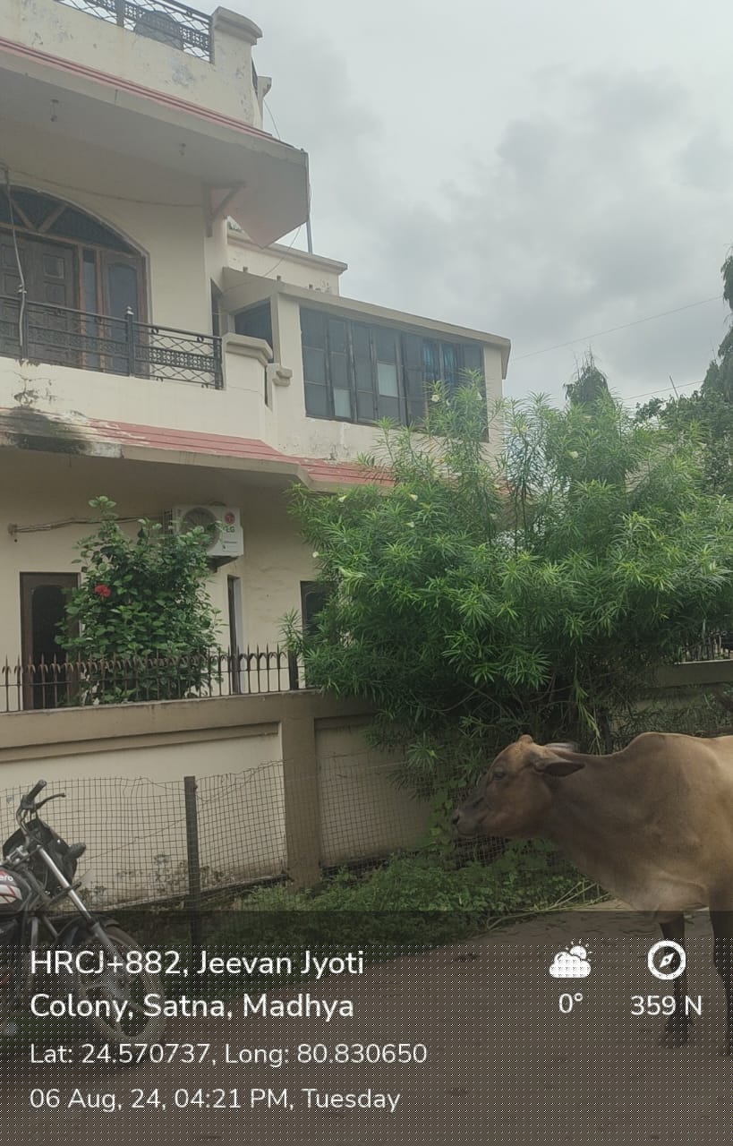 Punjab National Bank Auctions for Residential property in Satna, Uttar Pradesh image 9 of 13 in Satna, Satna | Punjab National Bank auction property
