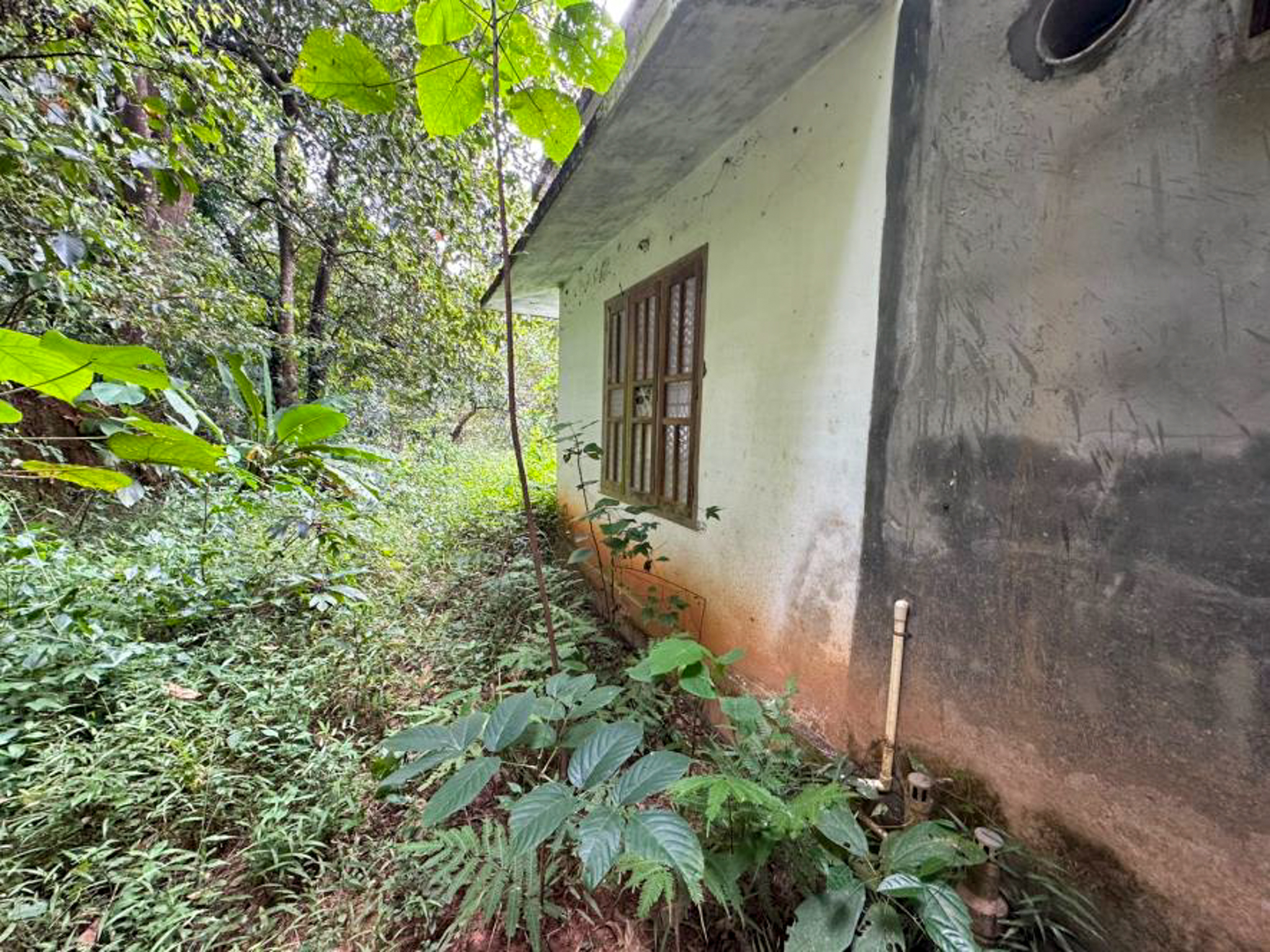Punjab National Bank Auctions for Residential property in Kannur, Kerala image 15 of 19 in Kandamkunnu, Kannur | Punjab National Bank auction property