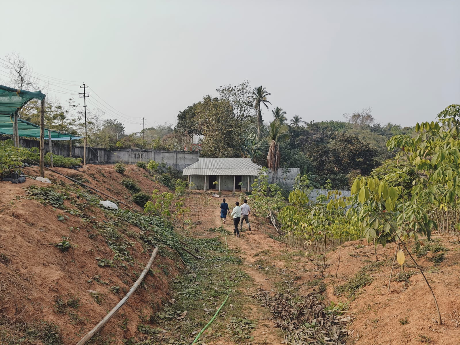 UCO Bank Auctions for Residential property in Sepahijala, Tripura image 6 of 6 in Bishramganj, Sepahijala | UCO Bank auction property