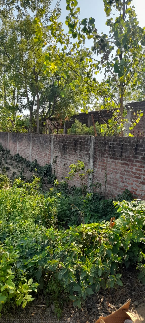 Bank of Baroda Auctions for Residential property in Sitapur, Uttar Pradesh image 2 of 8 in Biswan, Sitapur | Bank of Baroda auction property