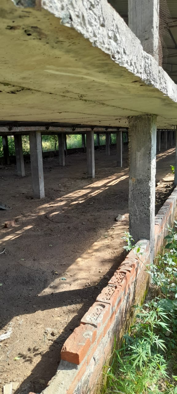 Bank of Baroda Auctions for Residential property in Sitapur, Uttar Pradesh image 4 of 8 in Biswan, Sitapur | Bank of Baroda auction property
