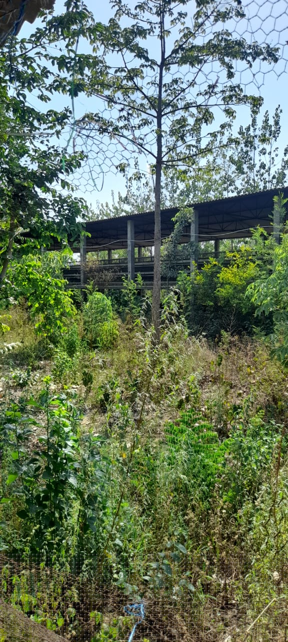 Bank of Baroda Auctions for Residential property in Sitapur, Uttar Pradesh image 7 of 8 in Biswan, Sitapur | Bank of Baroda auction property