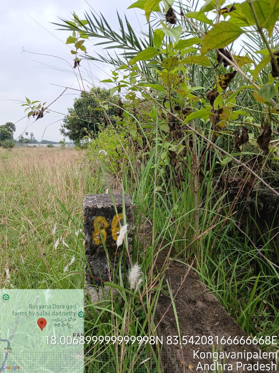 Bank of Baroda Auctions for Residential property in Vizianagaram, Andhra Pradesh image 3 of 6 in Industrial Area Kongavanipalem, Vizianagaram | Bank of Baroda auction property