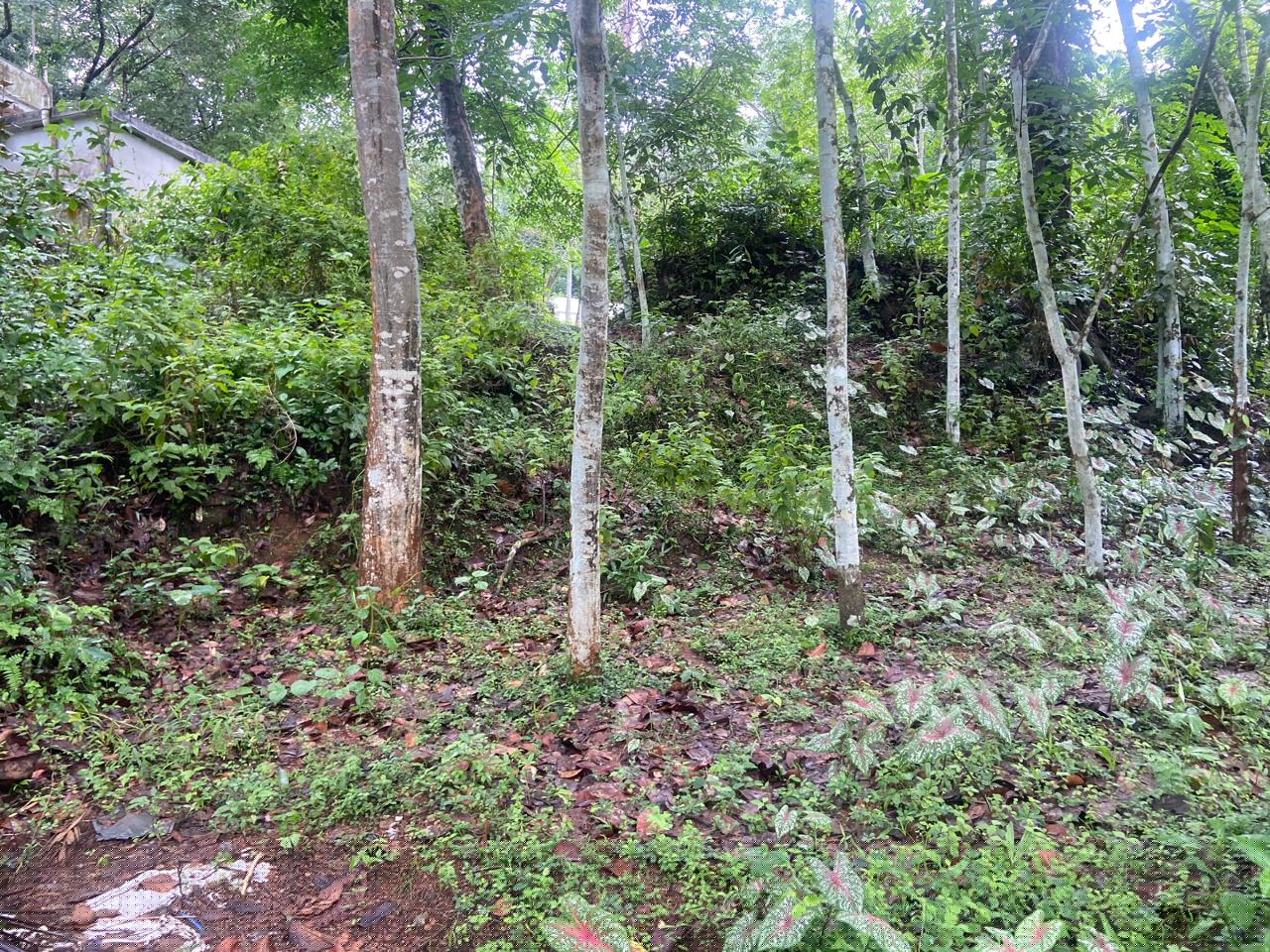 Bank of Baroda Auctions for Residential property in Trivandrum, Kerala image 2 of 2 in Karakulam, Trivandrum | Bank of Baroda auction property